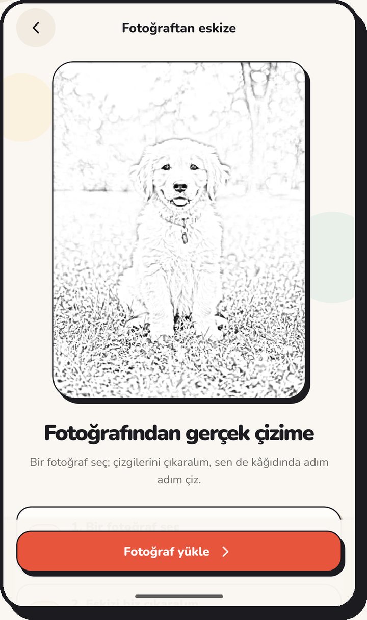 Fotoğraftan eskiz: bir fotoğraf çizgi şablonuna dönüşüyor