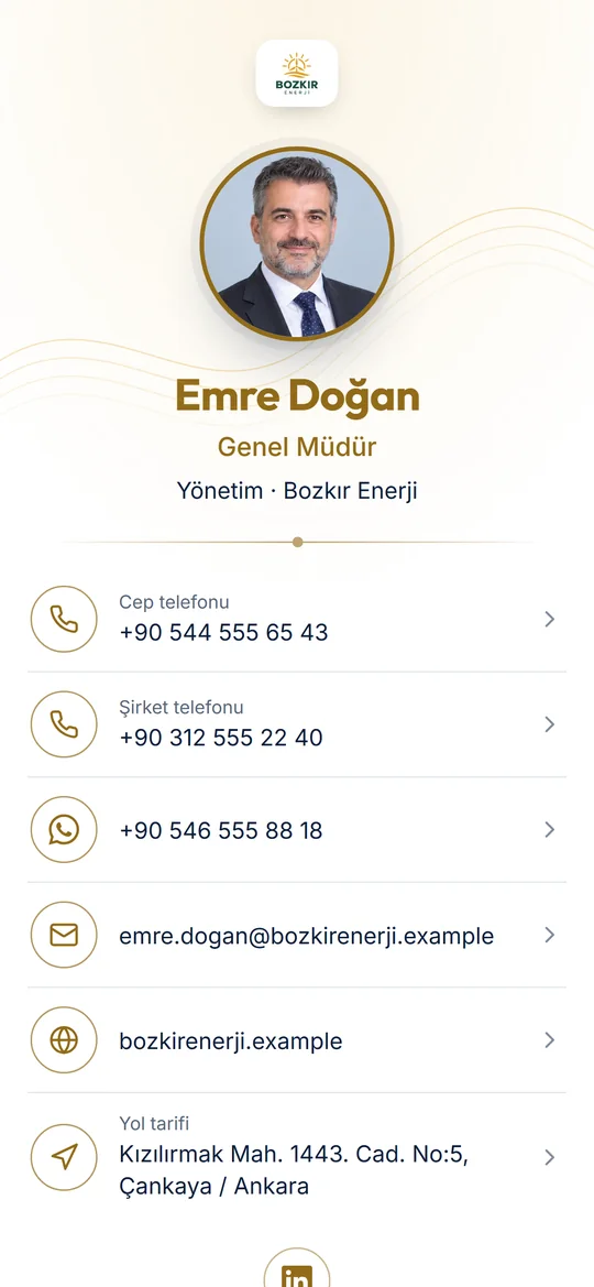 Yönetici şablonu: kurumsal, sade, şirket renginde.